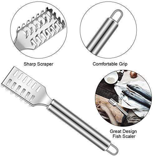 4 Pieces Stainless Steel Fish Scale Remover – The Essential Things